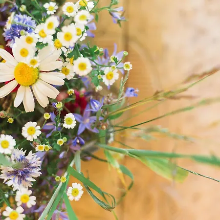 Hotel Zum Kirchenwirt