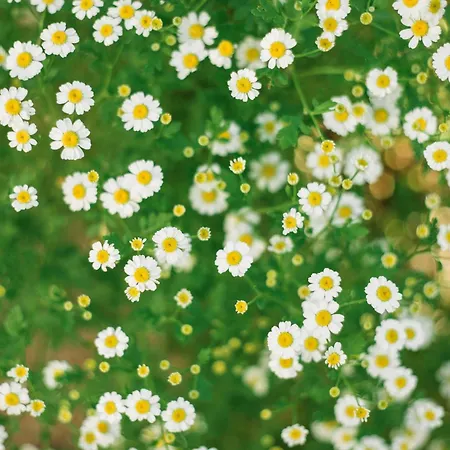 Zum Kirchenwirt Puch bei Hallein